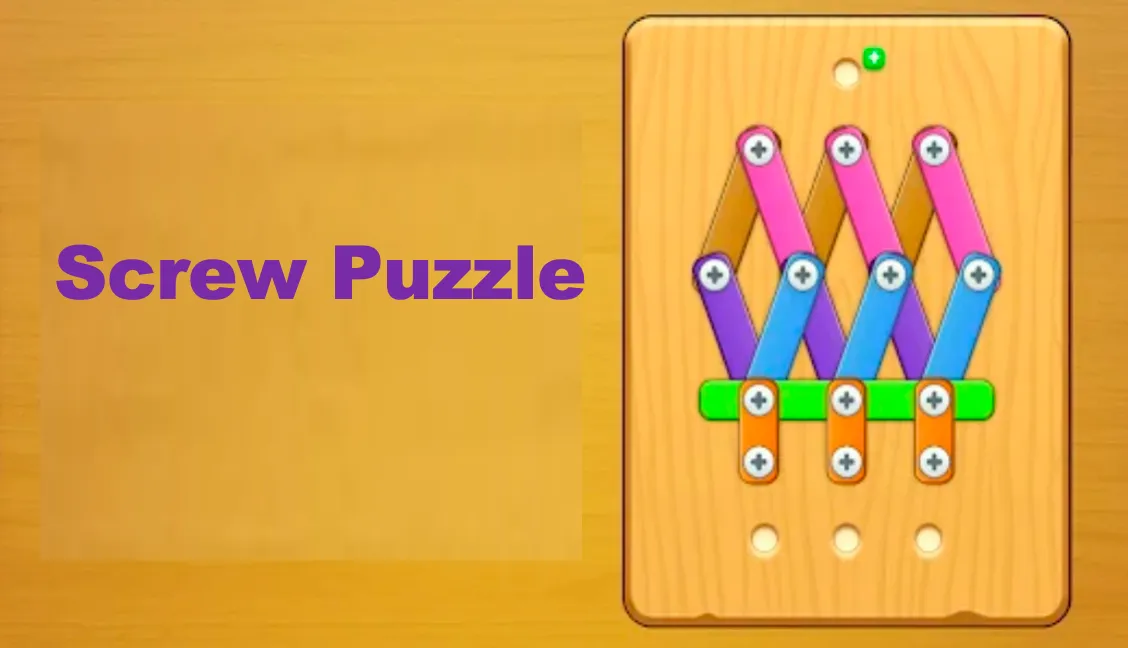 screw-puzzle.webp